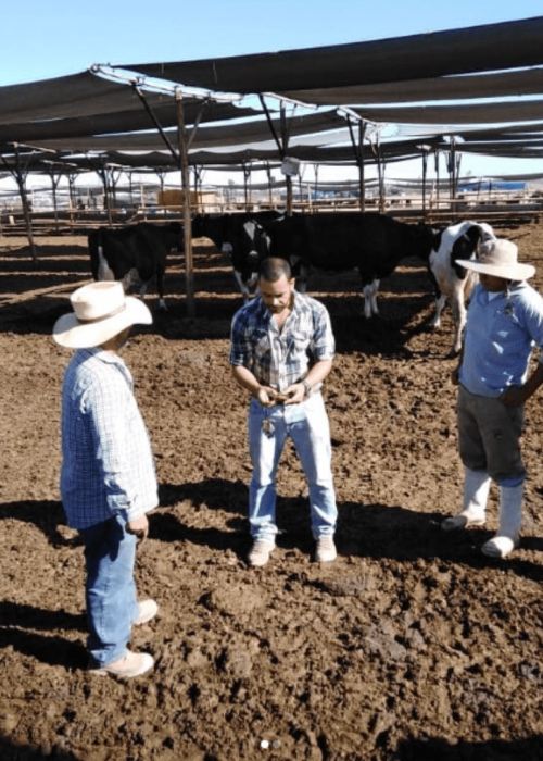 Gestión Y Dirección Pecuaria Y Ganadera en Campo
